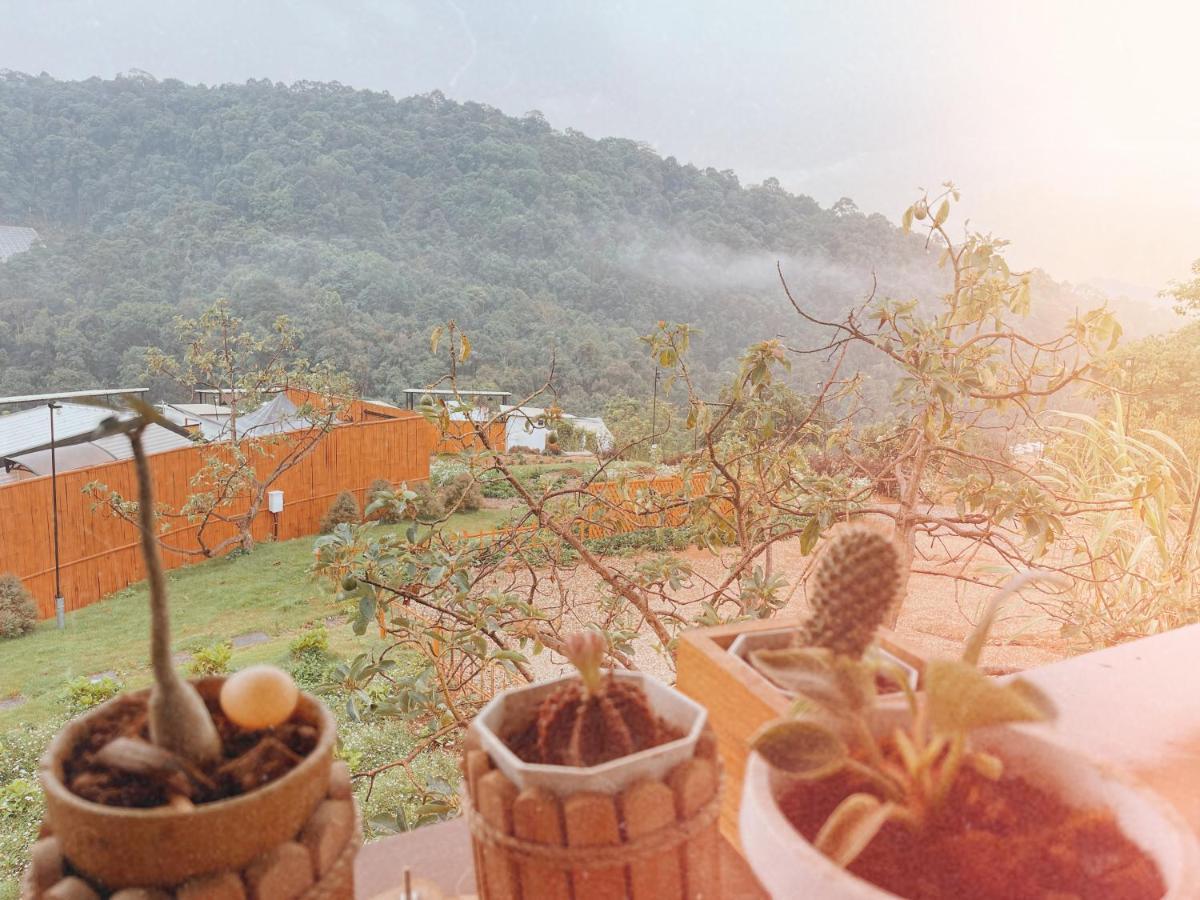 Phu Morinn Camping ม่อนแจ่ม Mon Jam المظهر الخارجي الصورة